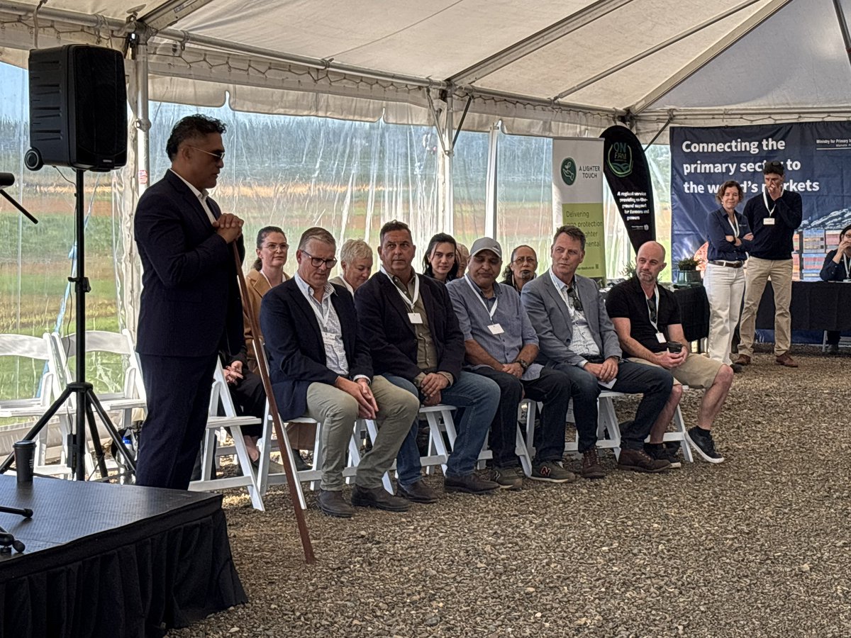 Potatoes New Zealand tweet media