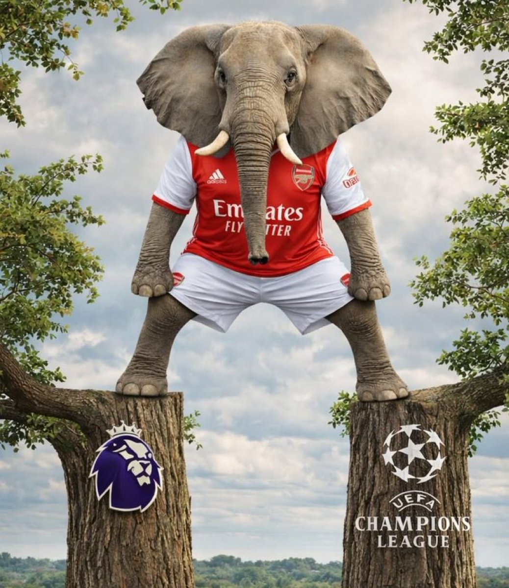 Don't say anything. Just re-tweet.