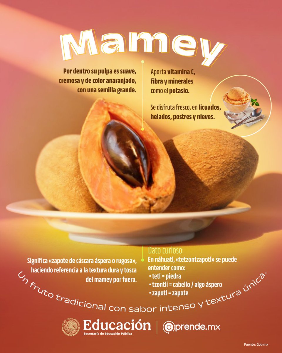 aprende_mx's tweet image. Un fruto #tropical que conquista por su textura y sabor intenso, ideal para disfrutar solo o en recetas #irresistibles. 🤗🏝️

Descubre más sabores naturales en nuestra sección de #FrutasExóticas. 🌟😱