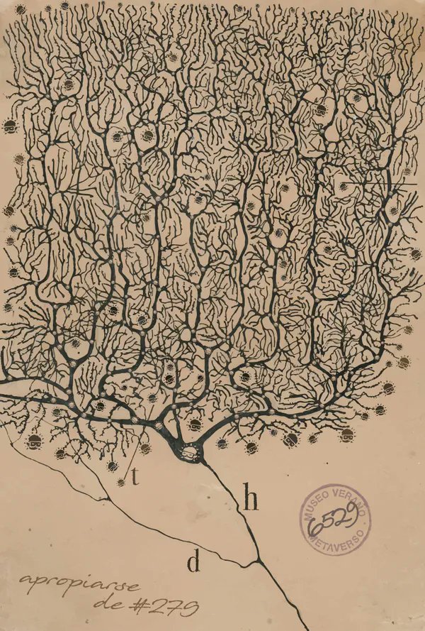 NFT Valuations tweet media