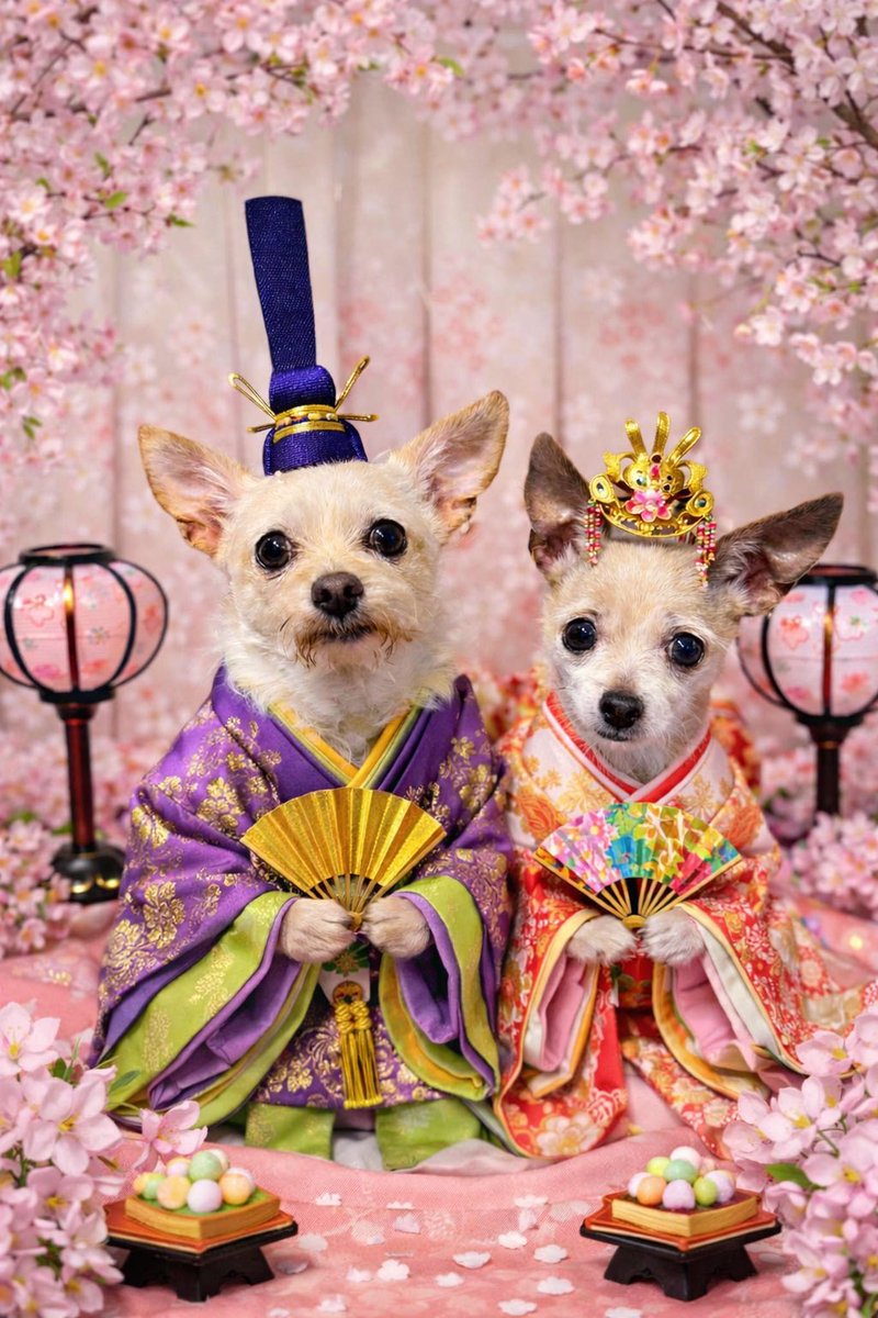 It was Japanese traditional girls day yesterday 💖💖💖💖💖💖