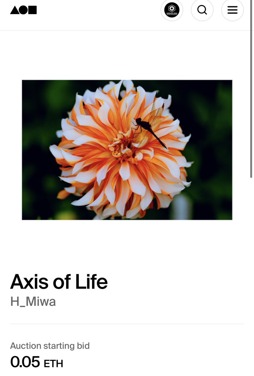 JpnMiw3030's tweet image. A new piece has been minted 📷
The geometric patterns of a dahlia flower, with a dragonfly gently resting beside it.
A moment where different forms of life intersect.

I’d appreciate it if you could check it out via the link.

#NFT #foundation 

foundation.app/mint/eth/0x191…