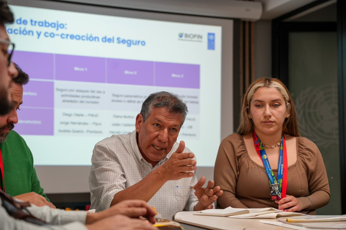 PnudColombia's tweet photo. En nuestra apuesta por la innovación financiera para la conservación, desde la estrategia #BIOFIN, junto con @SeguroPrevisora, lideramos el encuentro de construcción del Seguro de Protección del Oso Andino en el #CorredorOsoYAgua, una solución financiera pionera que protege la biodiversidad, reduce el riesgo para las comunidades y fortalece medios de vida sostenibles.