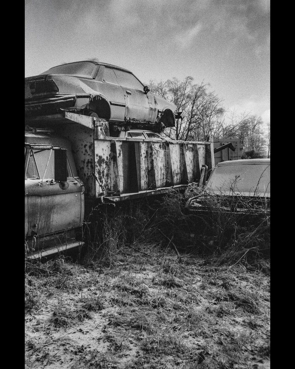 Domenico Antonio Galloro ᴺᶠᵀ tweet media