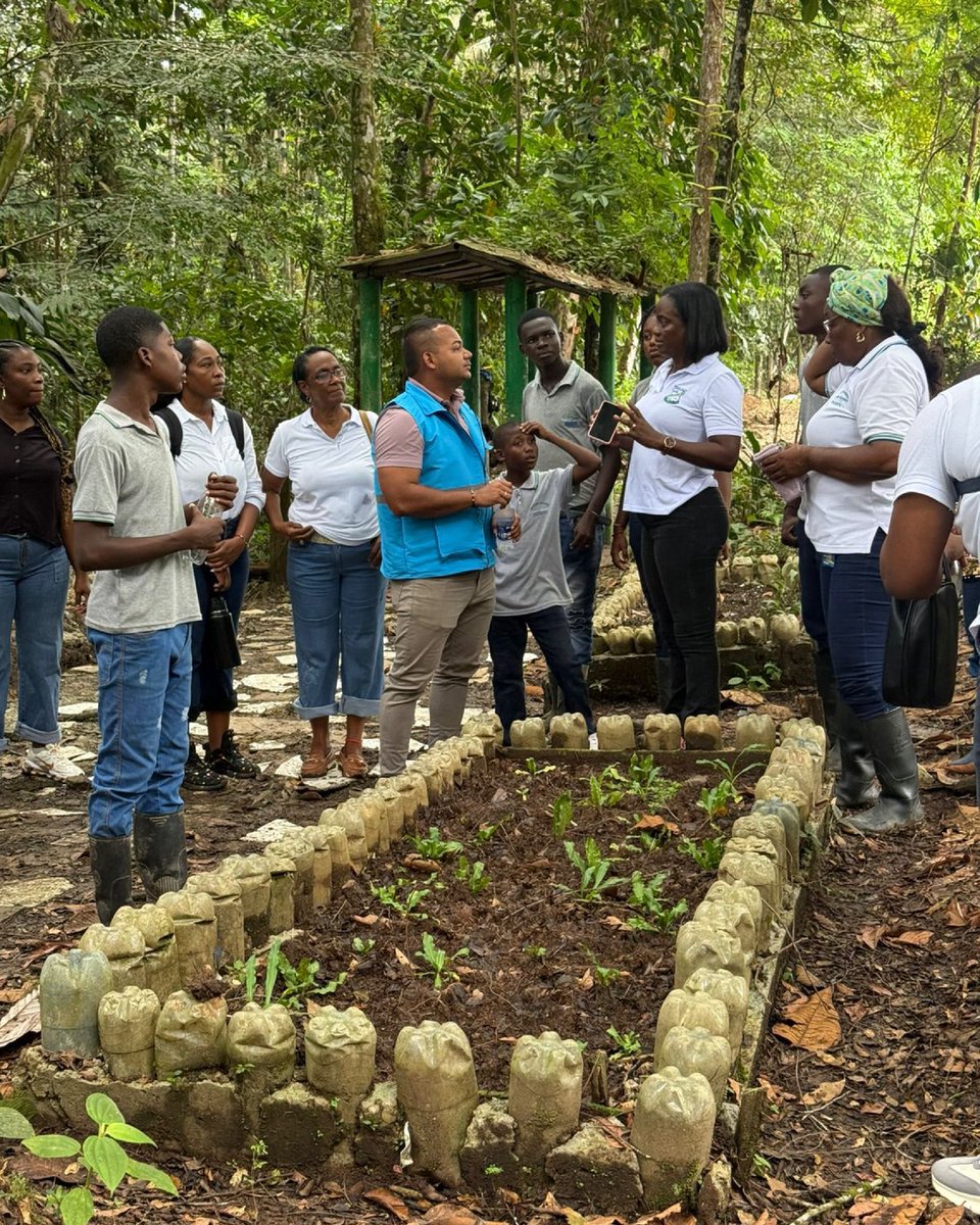 SecAgriculturaValle tweet media