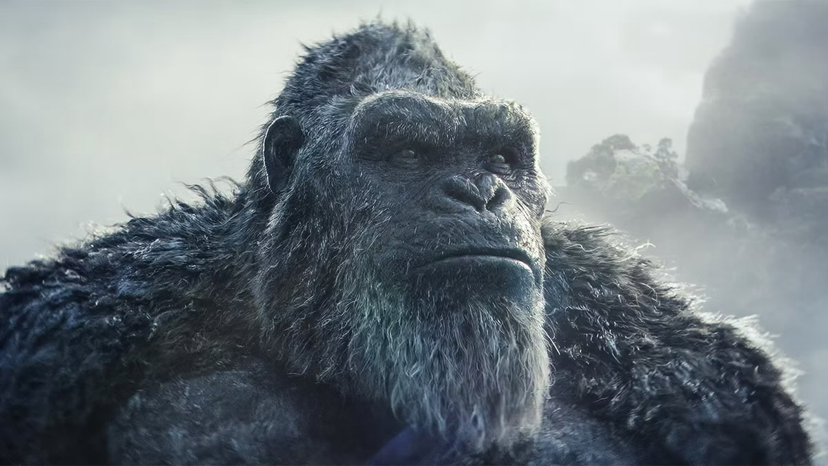 Fuzzy_Gamera's tweet photo. Choose your ideal Kong. https://t.co/fNxYPVBQ29
