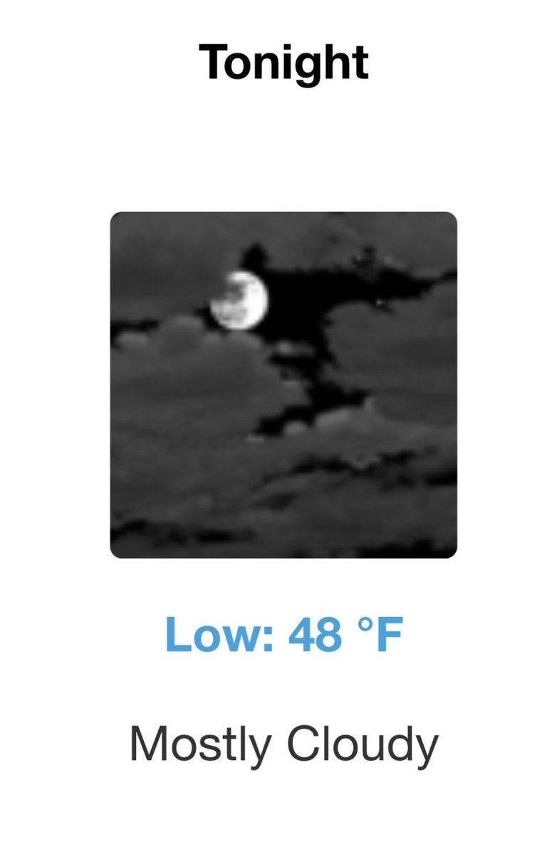 RogTNWeather's tweet photo. Tonight-Mostly cloudy, with a low around 48. Calm wind. https://t.co/BizdHq33rJ