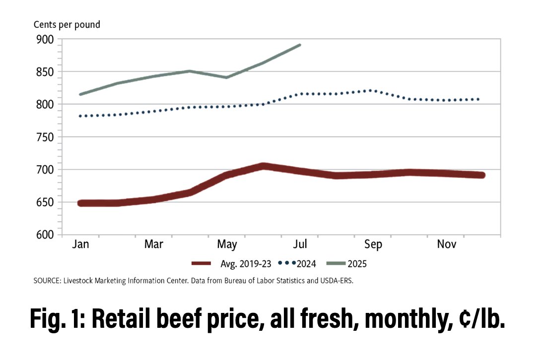 Angus Beef Bulletin Team tweet media