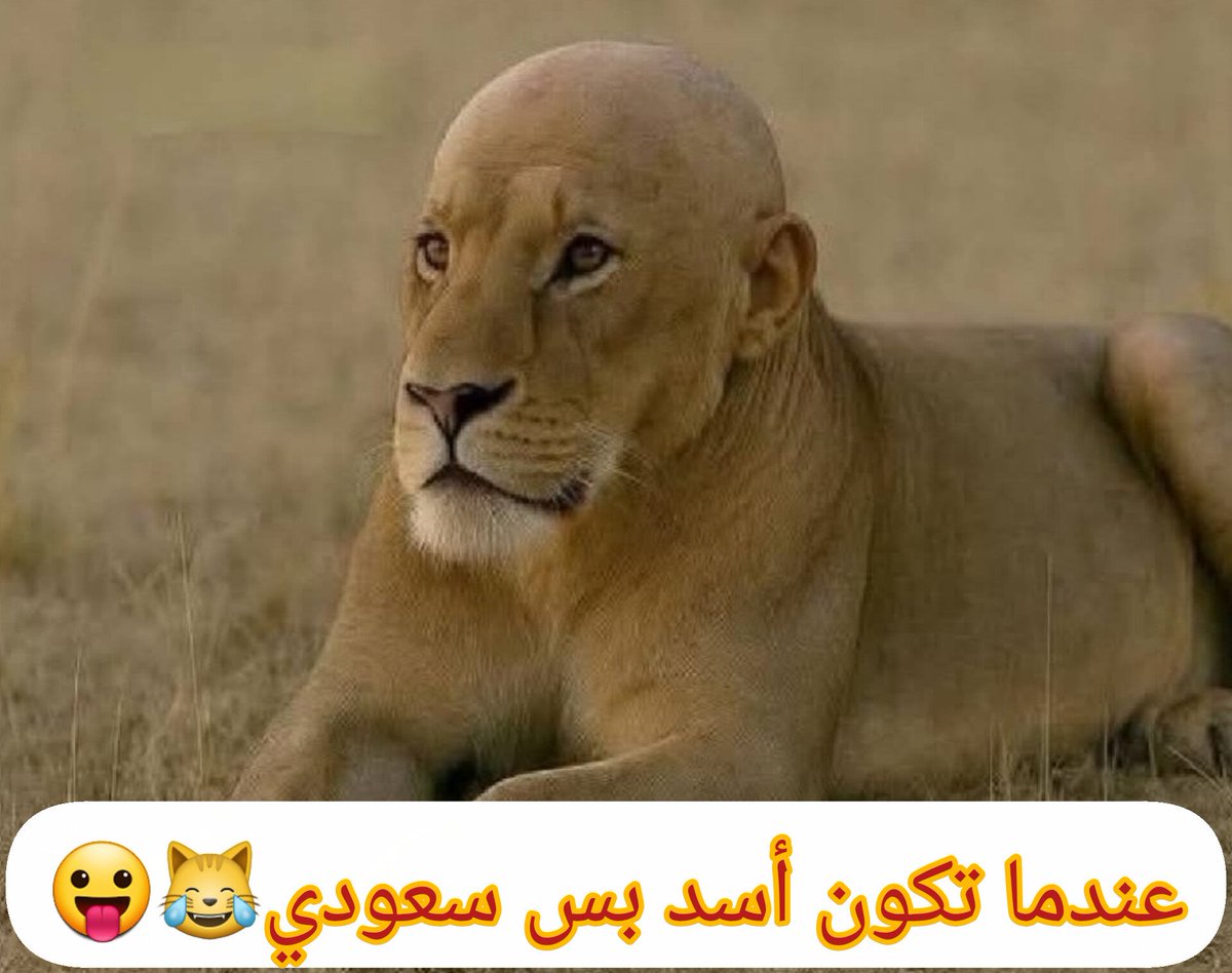 <a href="/AL_ahdli/">البدر الأهدل | Albadr Alahdal</a> 😹😹😹😹😹😹😹😹😹😛😛😛😛😛