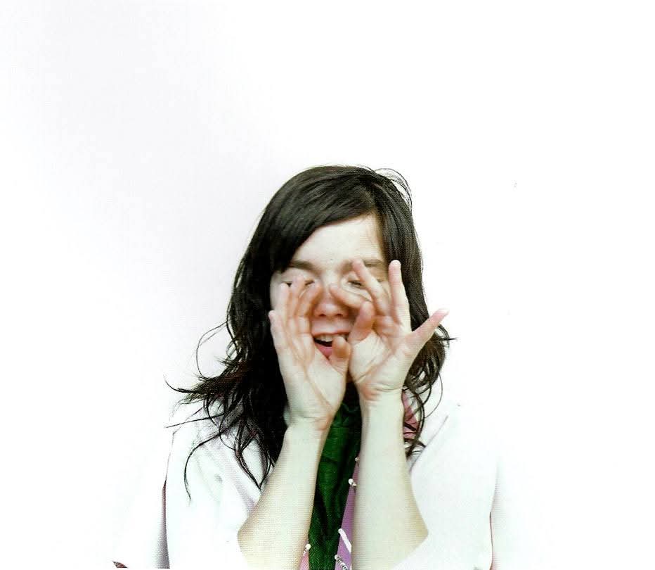 björk archive tweet media