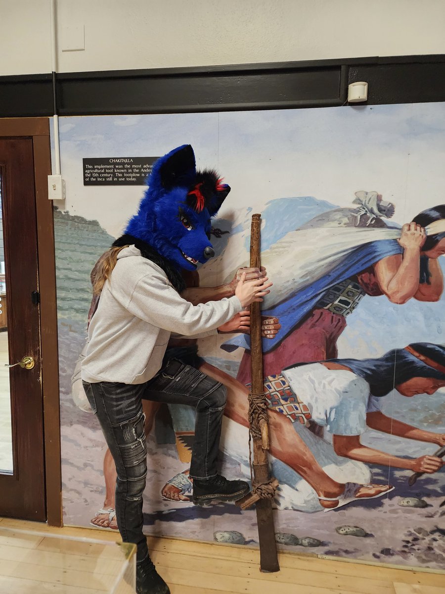 Schenker tweet media