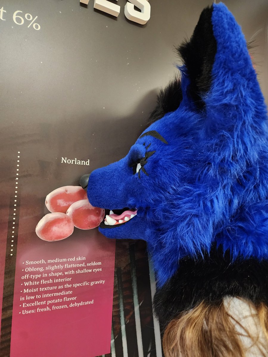 Schenker tweet media