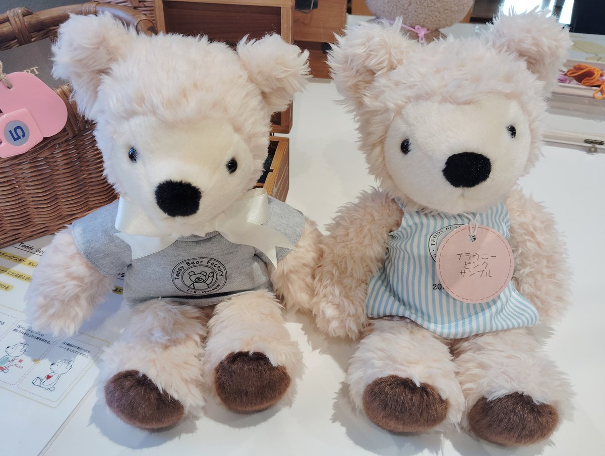 こんにちは‼︎広報1号です。 私事ですが休日、 ＃伊豆テディベア