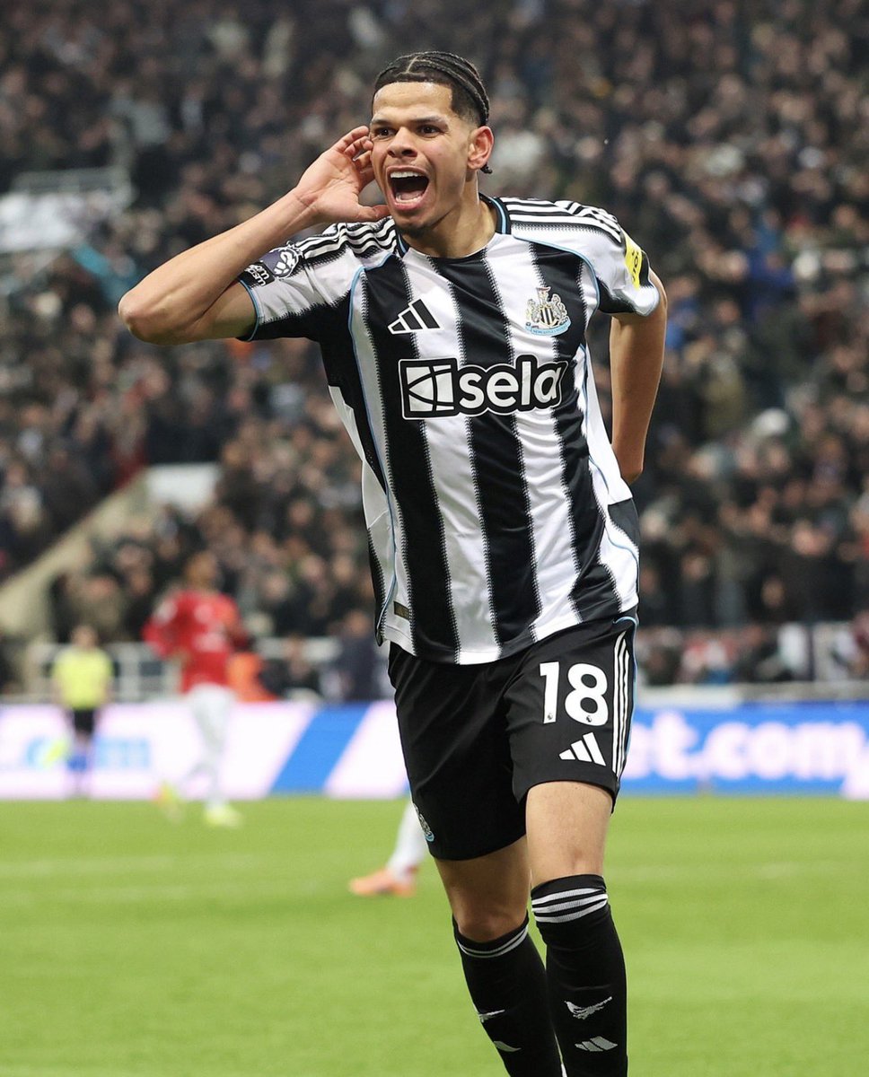 The Magpie Channel tweet media