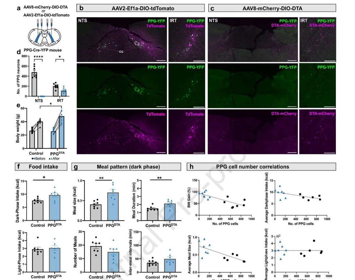 Daniel J Drucker tweet media