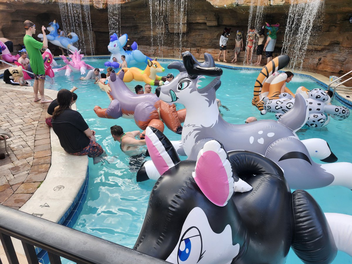 Eclipse🦌➡️LVFC/FWA/MP tweet media