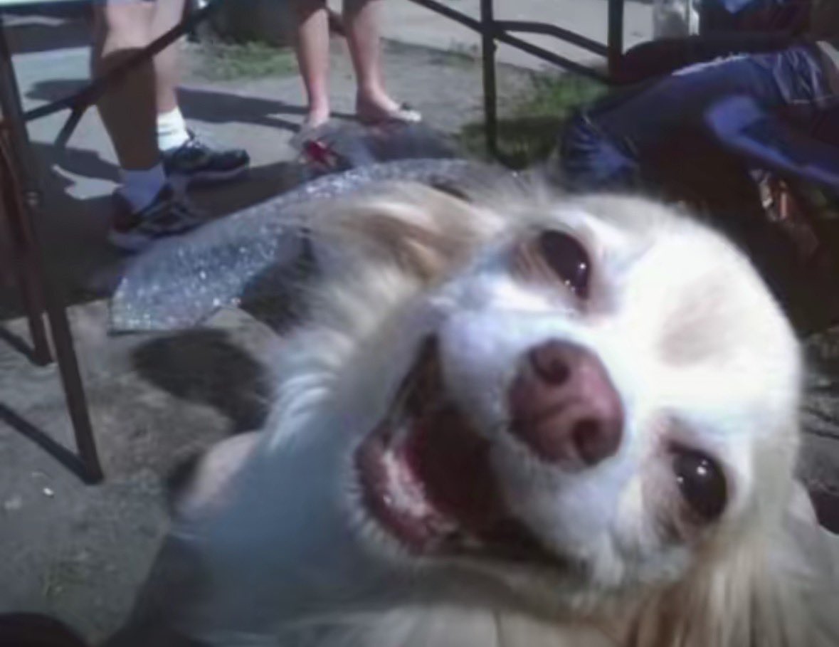 ⠀
 when the psych ward says you’re good to go 😁👍
 ⠀