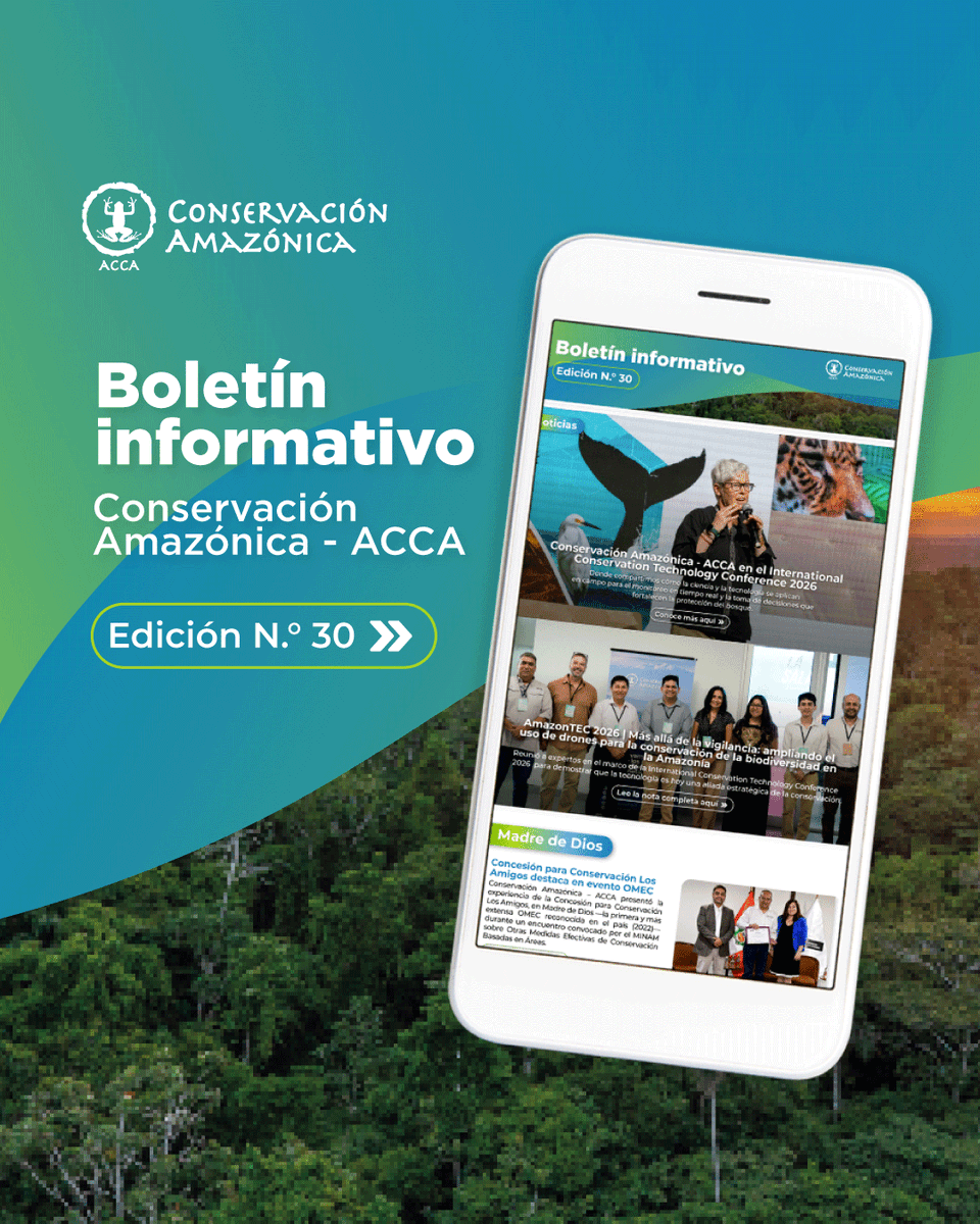 Conservación Amazónica - ACCA tweet media