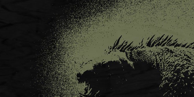 𝙡𝙞𝙡𝙮 𝙤𝙛 𝙩𝙝𝙚 𝙗𝙖𝙮𝙤𝙪. tweet media