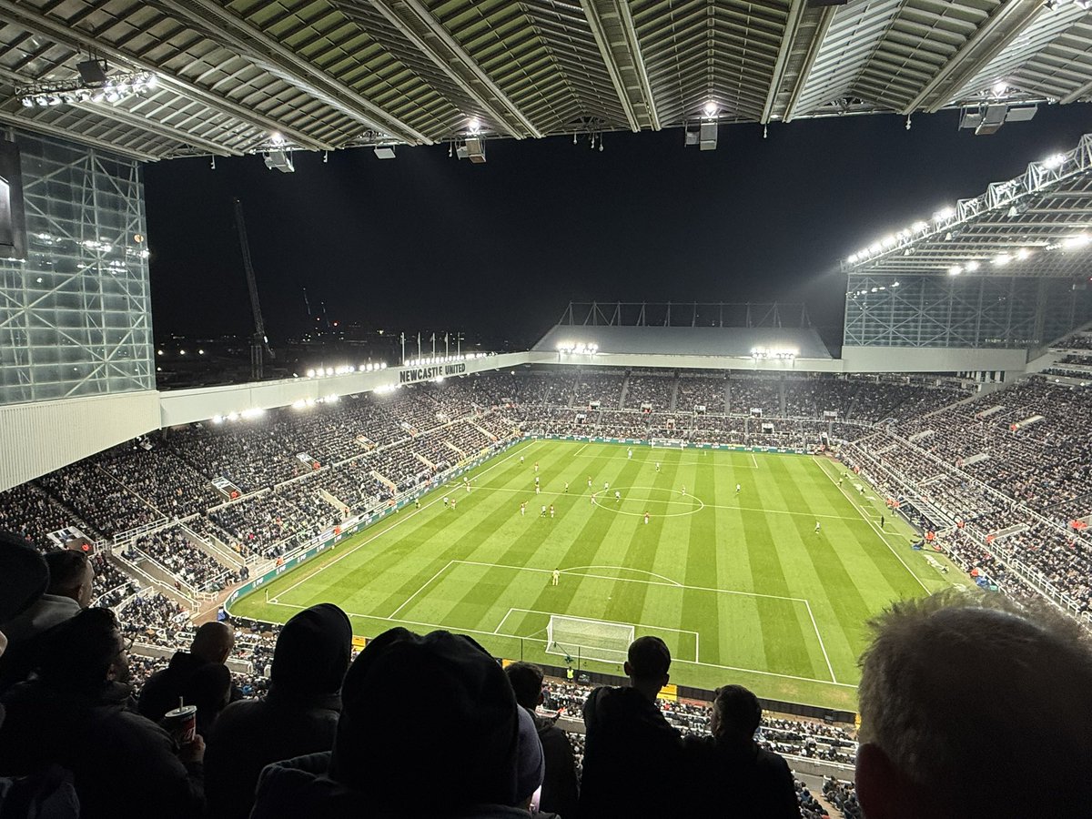 Tom Goodall tweet media