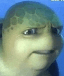 Lauren 🪻🌼🪴 tweet media