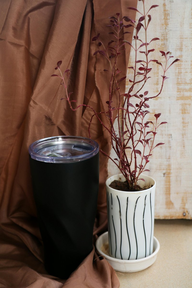 Kitchen Masters Go Here tweet media