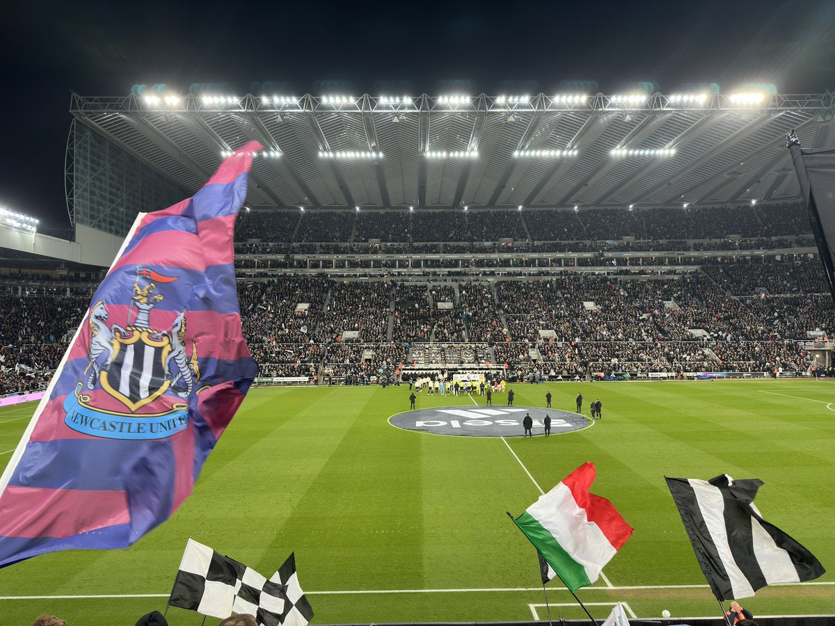 Stephen Howlett tweet media