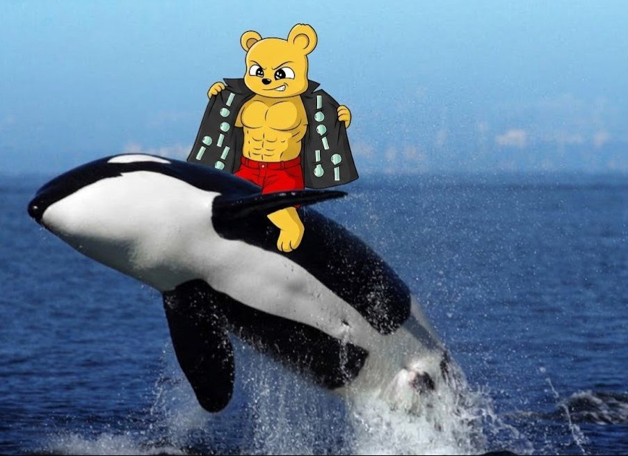 Doit4theCoins🐻⛓️ tweet media