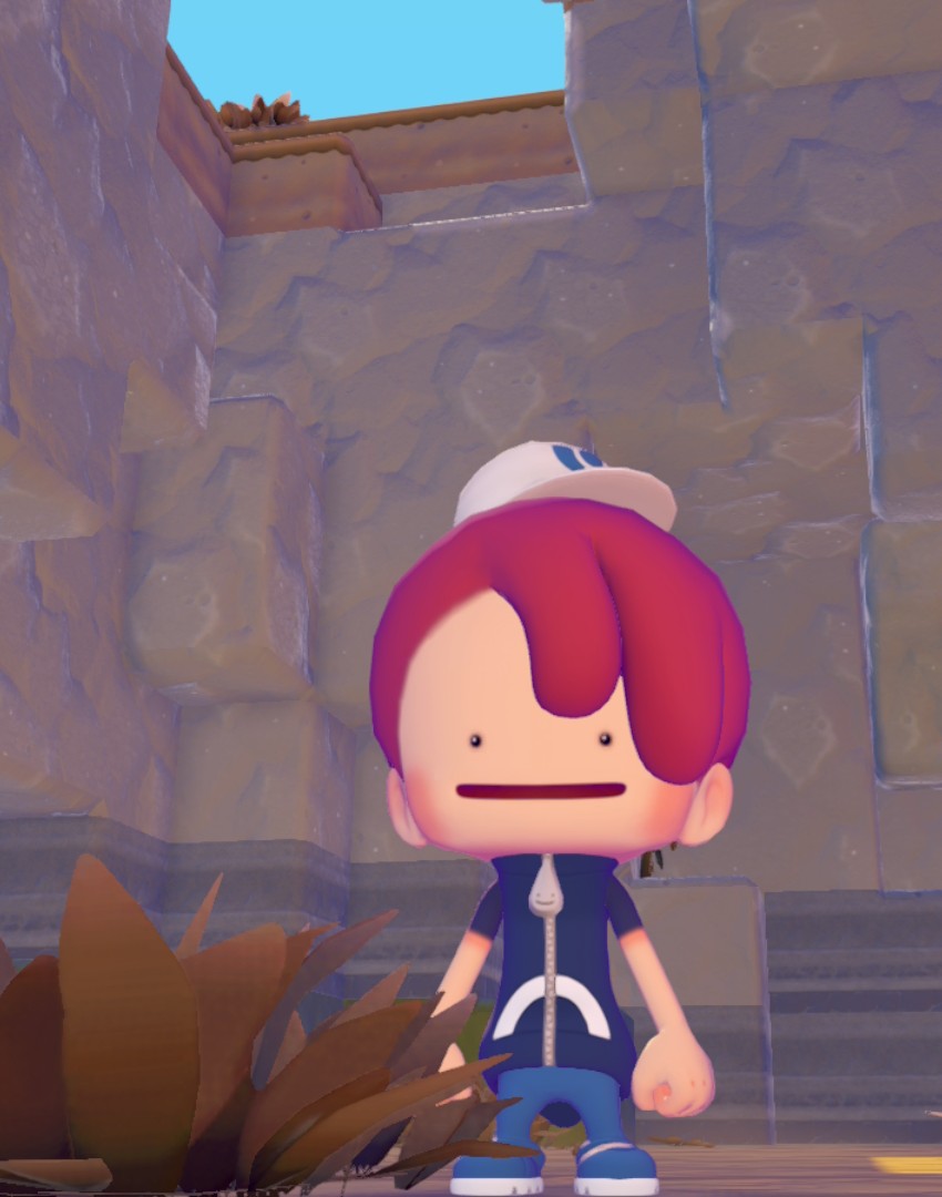 メタモン生活始まりました