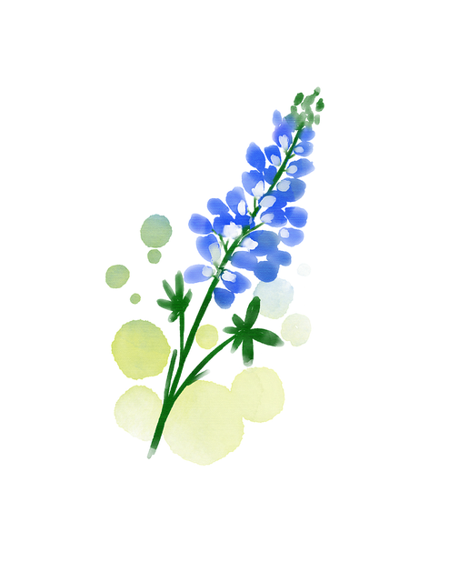 Diaz Elowynn tweet media