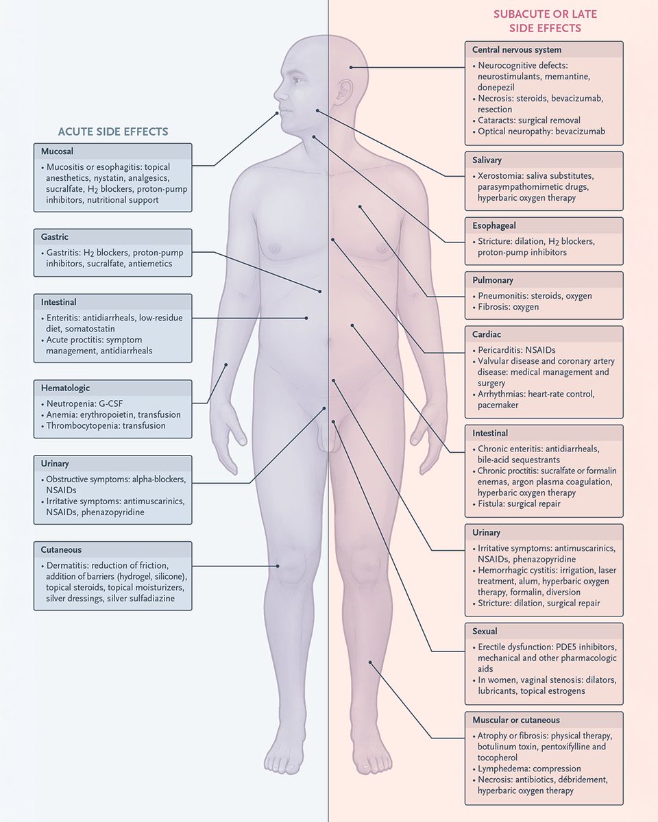 A new review summarizes advances in radiotherapy that reduce injury to normal tissue, including improvements in the precision of imaging and delivery, and outlines strategies to prevent and manage treatment-related side effects. 

Read the Review Article “Effects of Radiotherapy