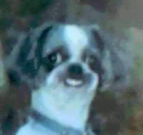 Te llamas isdin o porque tanto filtro meja?