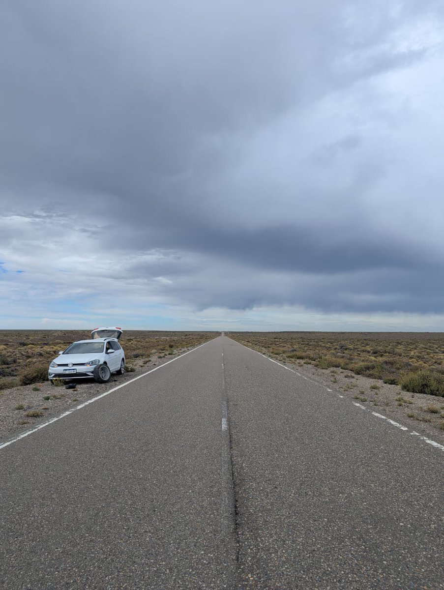 Richar | Dynaco consultoría automotriz tweet media