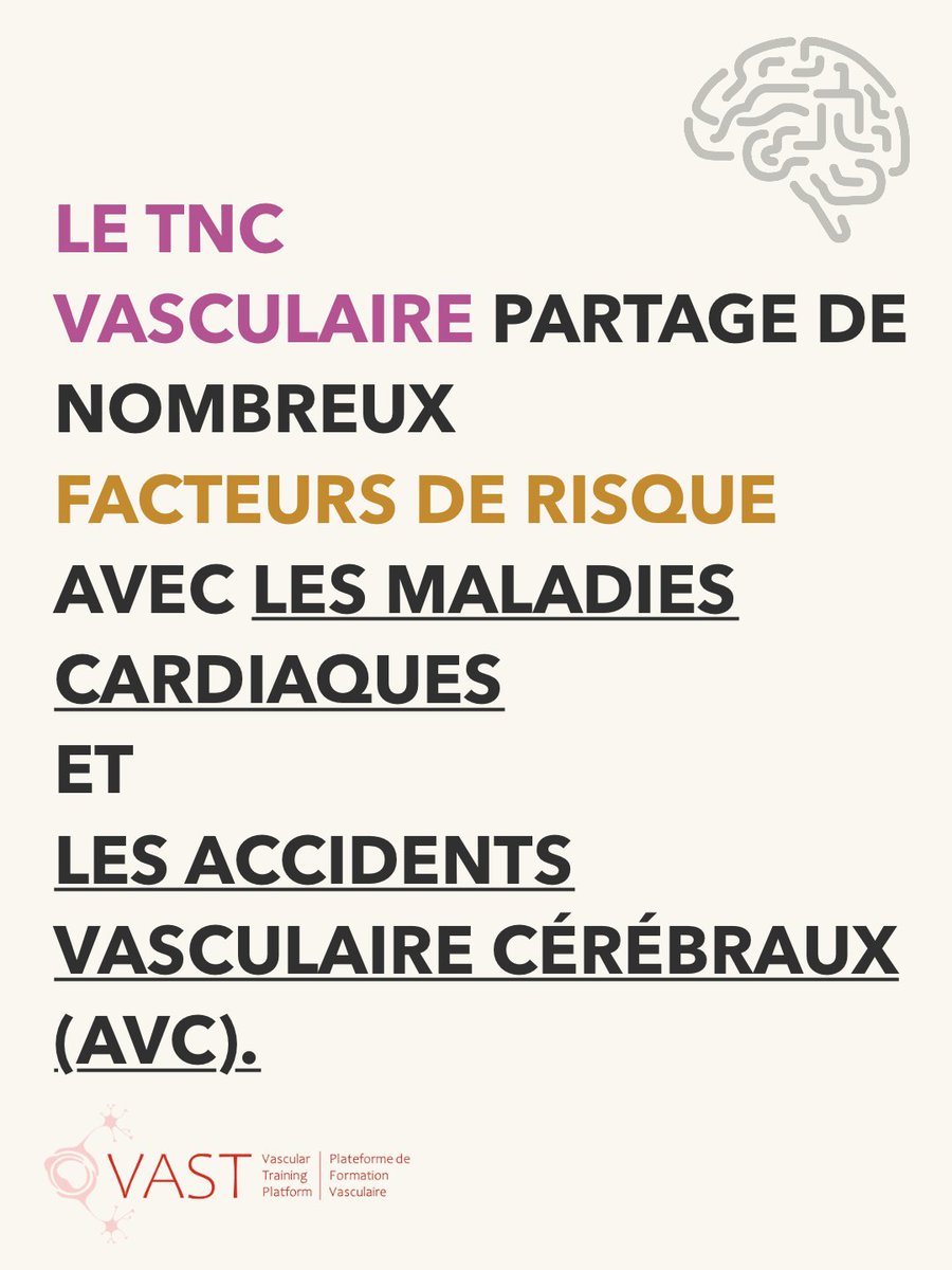 Vascular Training (VAST) Platform tweet media