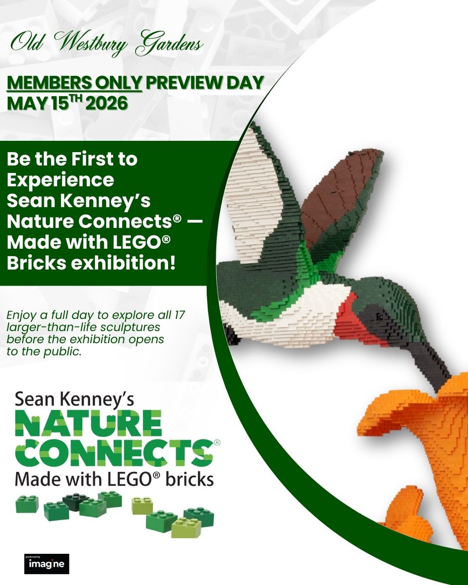 oldwestburygard's tweet image. 🧱 Members-Only Preview Day May 15th!

Opening day of Sean Kenney’s Nature Connects® Made with LEGO® Bricks is reserved exclusively for OWG Members.

Not a Member? Join today — bit.ly/4kz7uGR. 
#OldWestburyGardens #NatureConnects #MembersOnly #LongIsland #LEGO