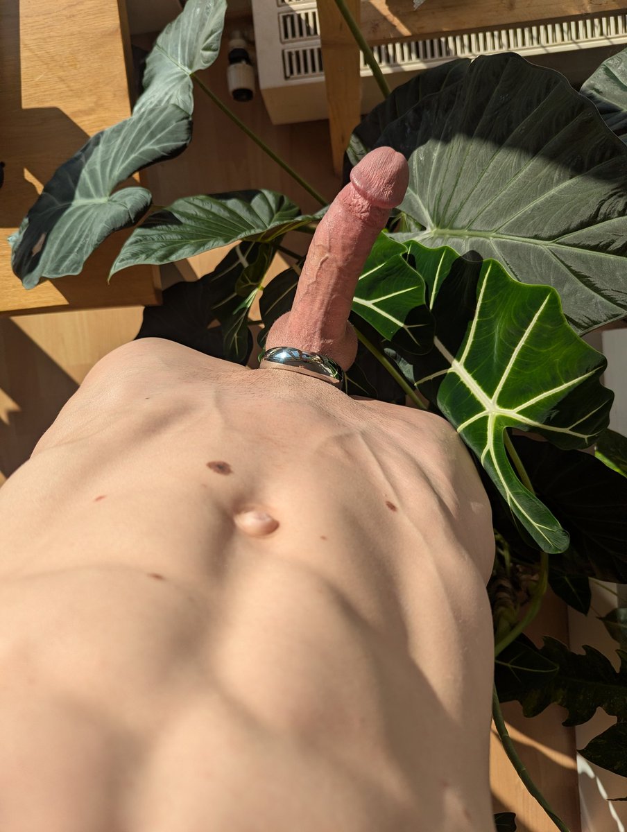 Nume the Twunk tweet media