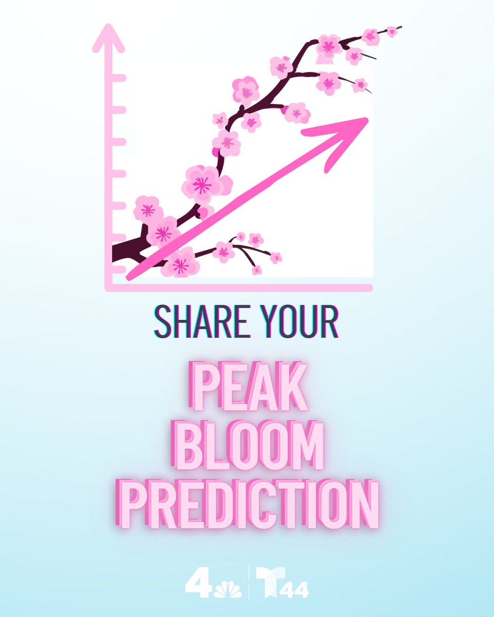 DC Scene tweet media