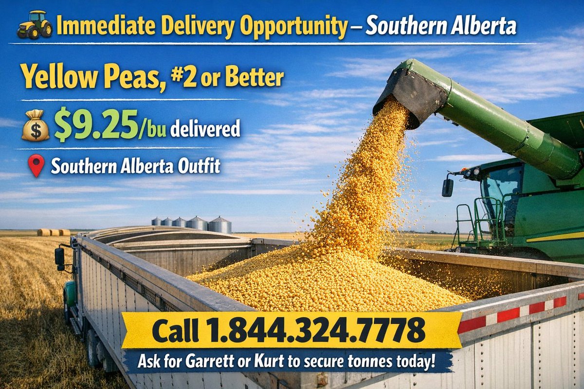 🚨 Immediate Delivery Opportunity – Southern Alberta

Yellow Peas, #2 or Better
💰 $9.25/bu delivered
📍 Southern Alberta outfit

Call 1.844.324.7778 and ask for Garrett or Kurt to secure tonnes today