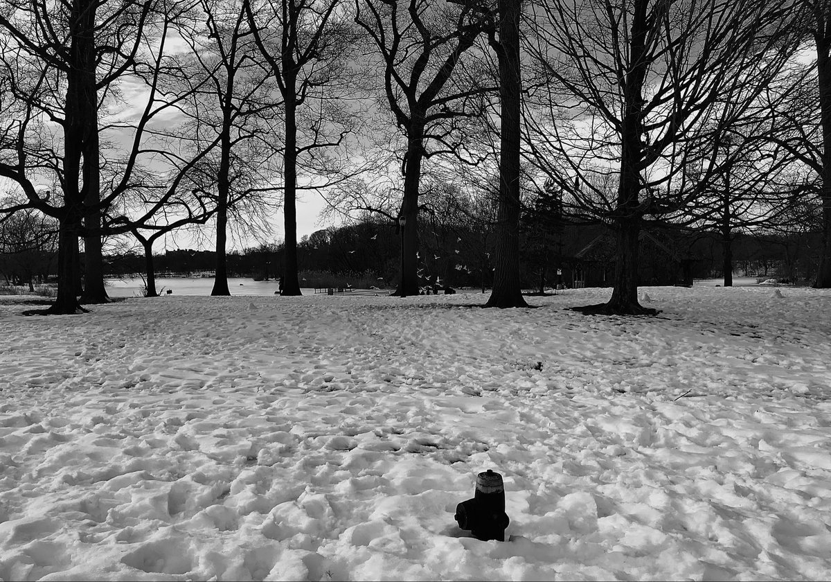 Hannah Taylor tweet media