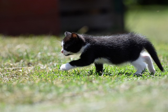 Brandon Brockman tweet media