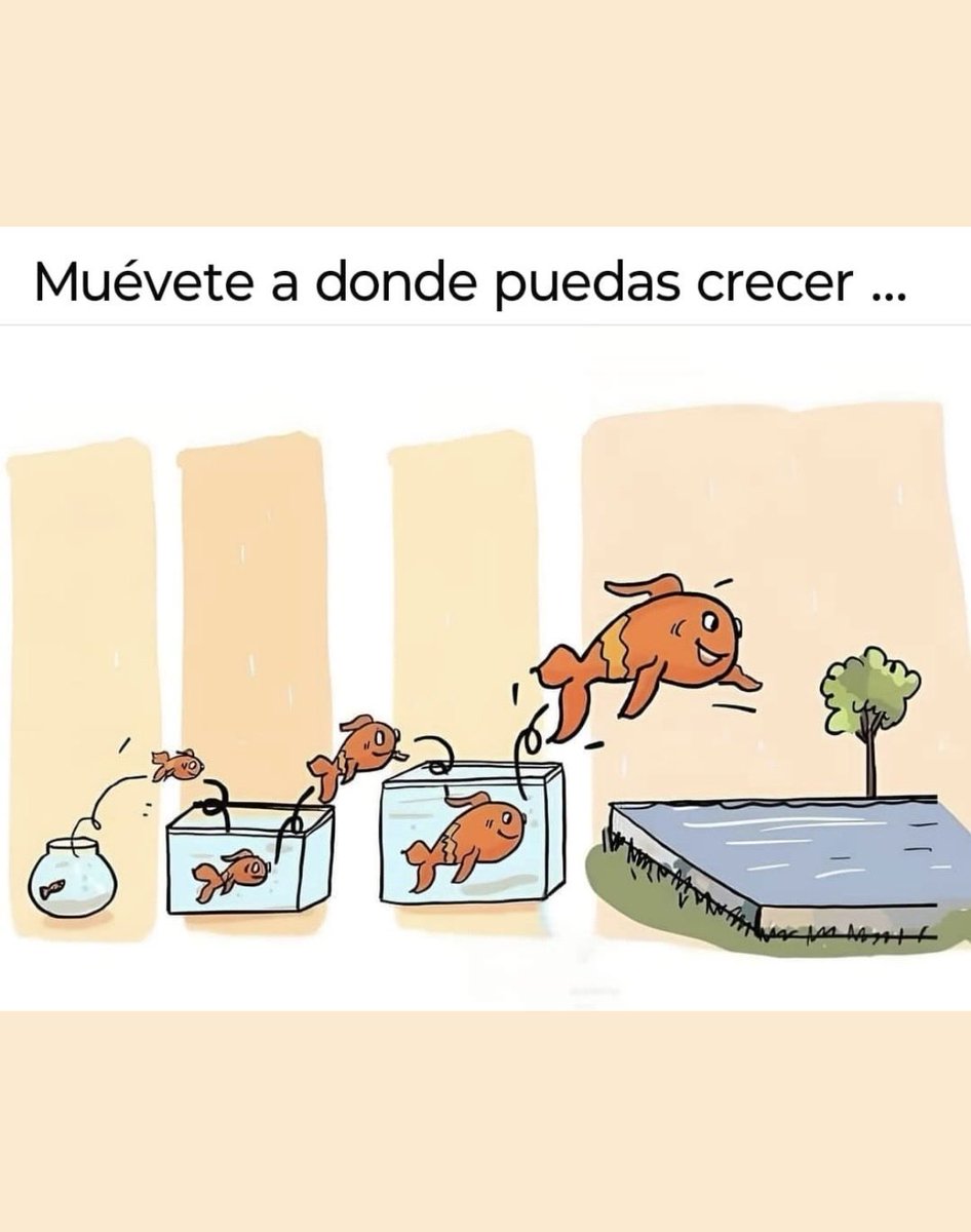 Efectozen1's tweet photo. https://t.co/Gl3x8KA3Nh