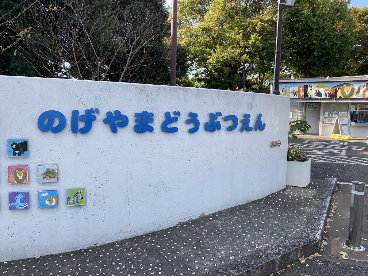 kanagawaphil's tweet photo. 営業先が近くなのでたまに立ち寄る横浜が誇る野毛山動物園🦁寄付と税金で賄われているので入園料無料です。募金箱も置いてあります。動物の尊さと素晴らしさを感じる一方で、地球環境の急激な変化により展示スペースのみ残され、触れ合えなくなった動物もいたりして、本当にいろいろ考えさせられる大切な場所です。