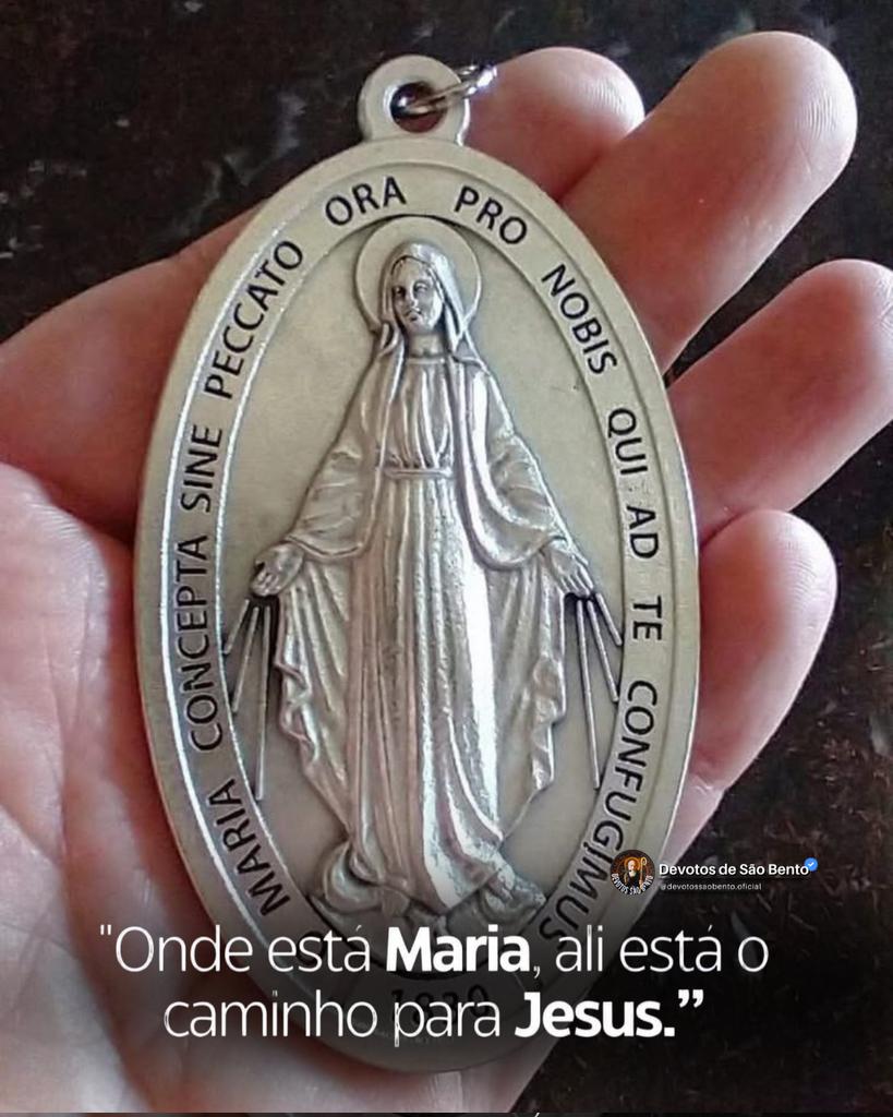 Nossa Senhora do Rosário tweet media