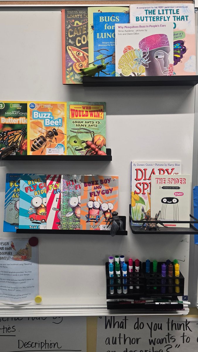 jcae2008's tweet image. Today's classroom book theme for #ReadAcrossAmerica was bugs! Displayed a selection of both non fiction and fiction books for them to enjoy. Read two books to them, shared a yummy treat and caught some bugs! 🐜🐛🦗🦟🪳🐞🕷
#ClassroomVibes