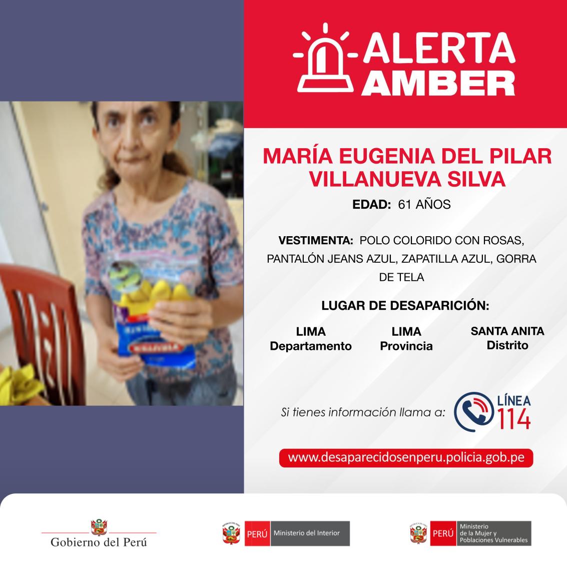 #AlertaAmber 🚨  Han desaparecido:

▶️ La niña ANTONELLA MIKELLA ASCENCIO JANAMPA de 3 años. 
▶️ La adolescente AYLIN MISHELL MENDEZ SANCHEZ de 15 años. 
▶️ La joven SAMANTA GONGORA PACOHUANCA de 23 años.
▶️ La señora MARÍA EUGENIA DEL PILAR VILLANUEVA SILVA de 61 años.