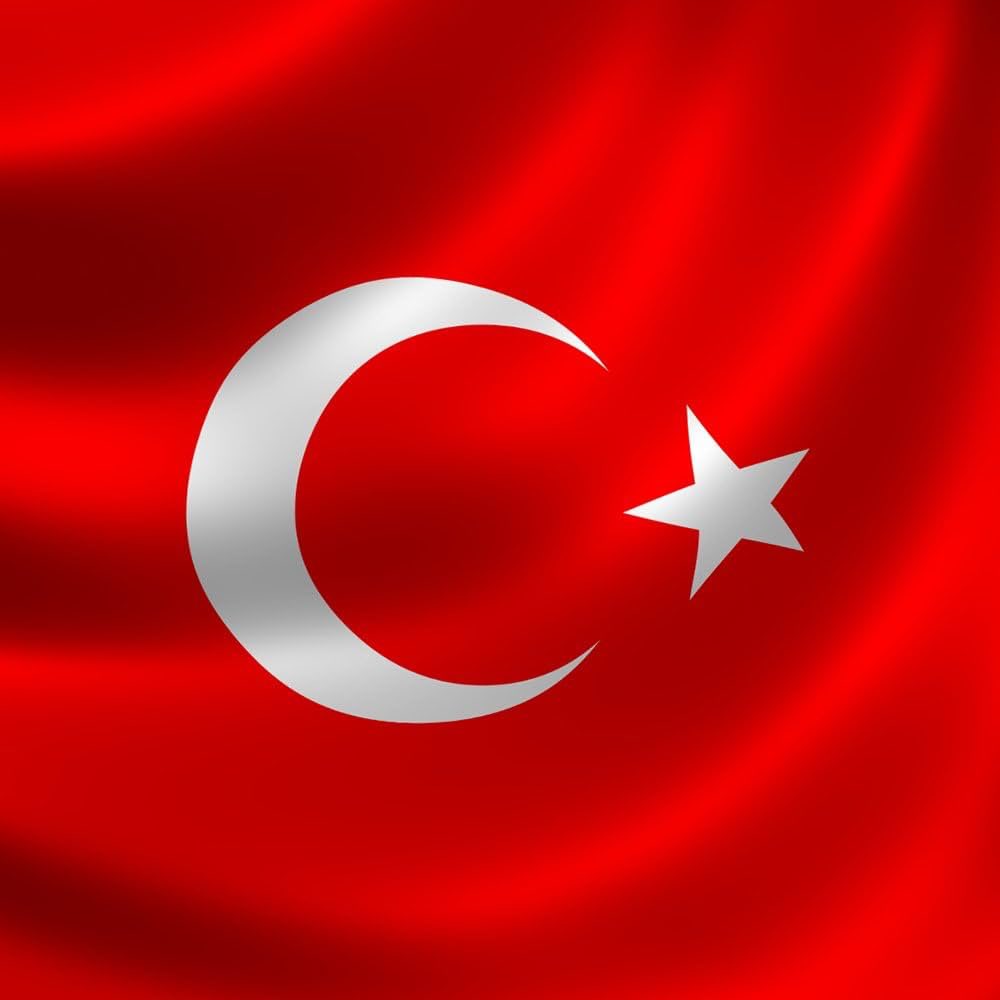 Berke Oktay tweet media