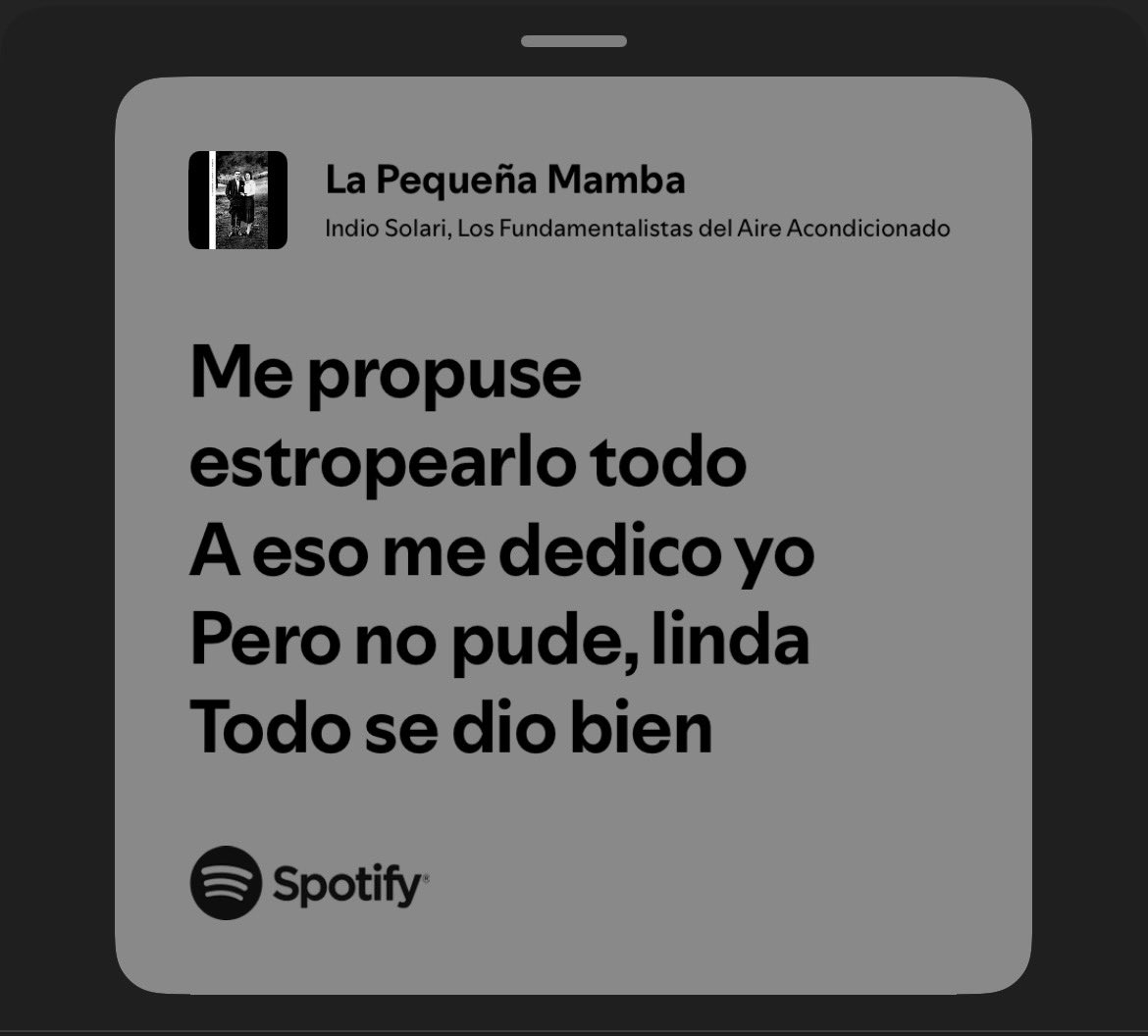 carolina tweet media