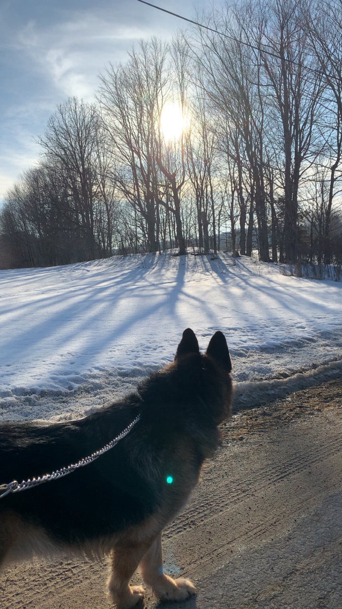 Courtney🐮 tweet media