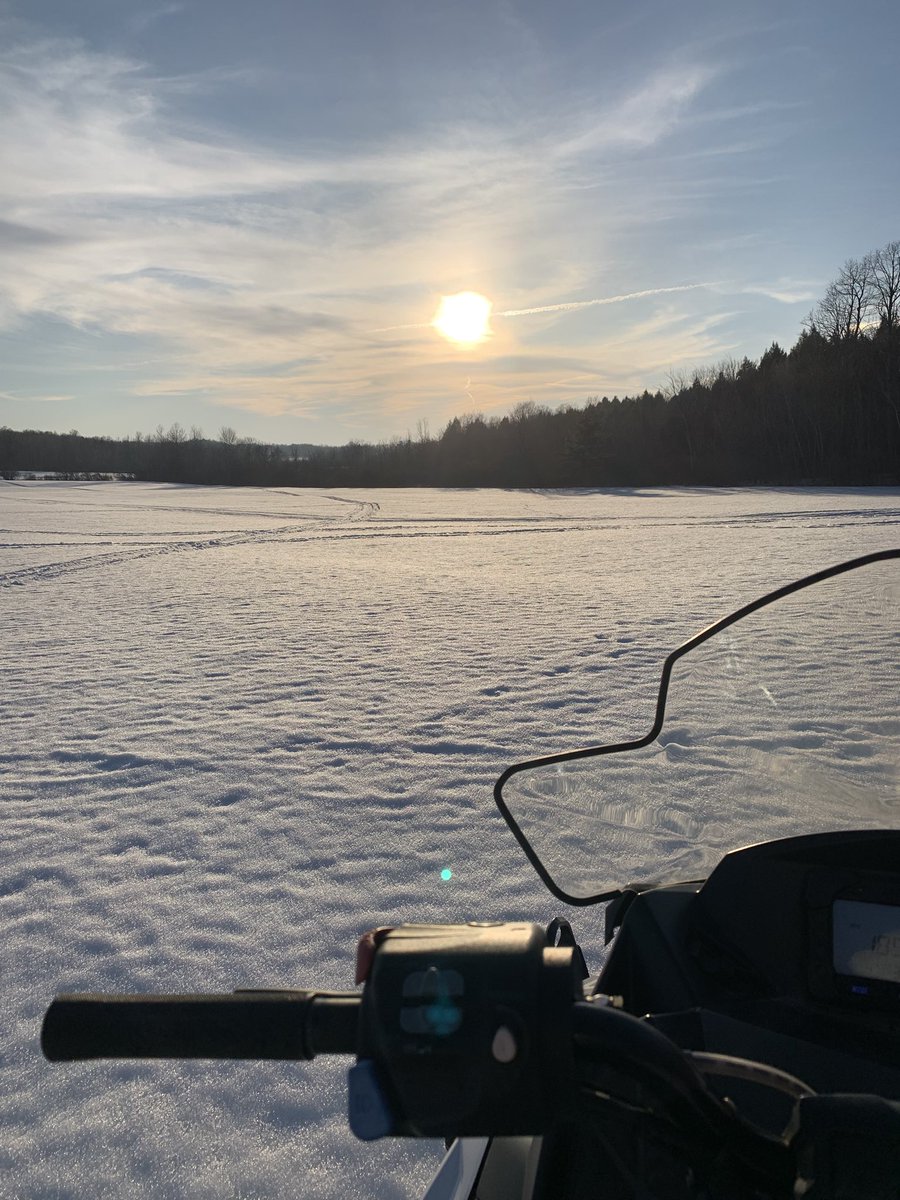 Courtney🐮 tweet media