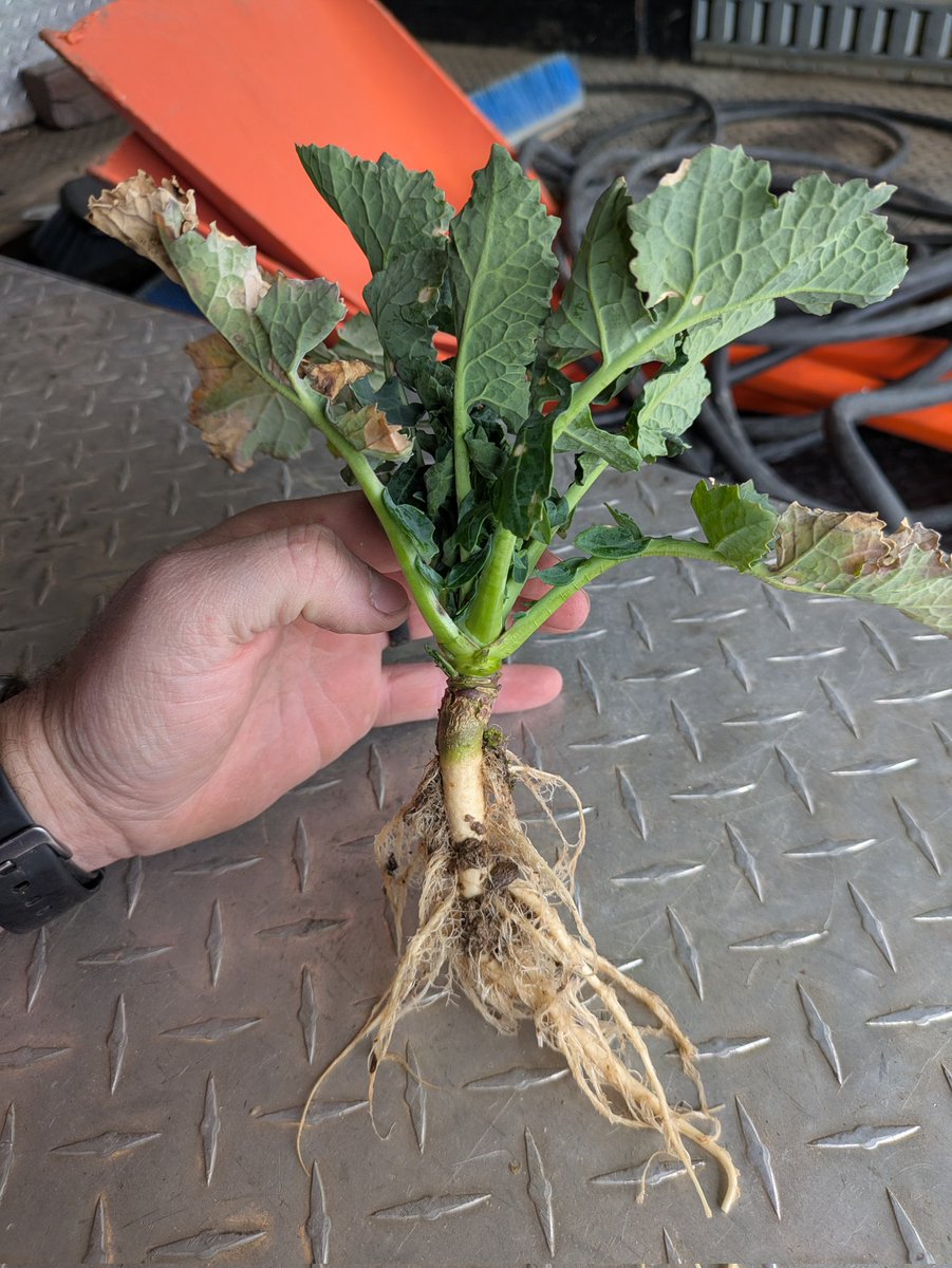 Brian Ulen tweet media